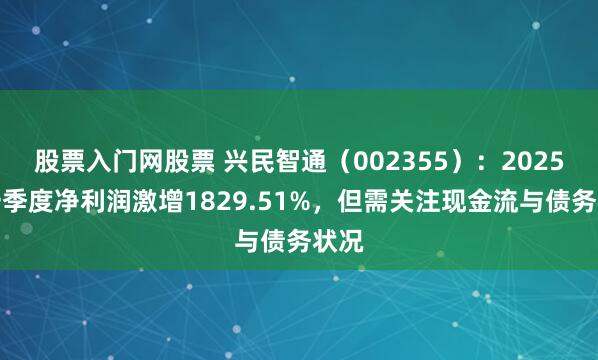 股票入门网股票 兴民智通（002355）：2025年一季度净利润激增1829.51%，但需关注现金流与债务状况