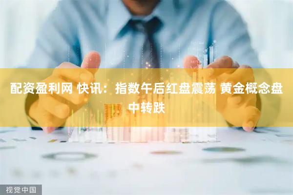 配资盈利网 快讯：指数午后红盘震荡 黄金概念盘中转跌