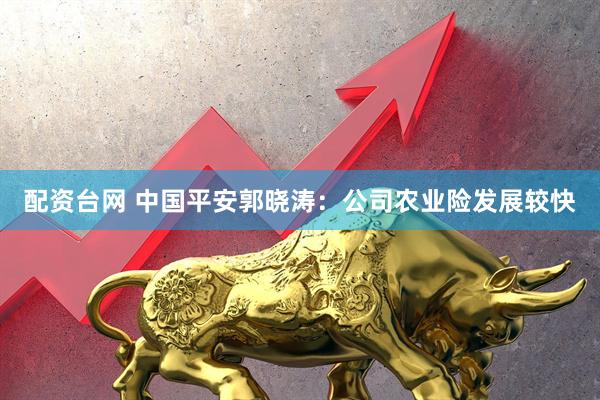 配资台网 中国平安郭晓涛：公司农业险发展较快