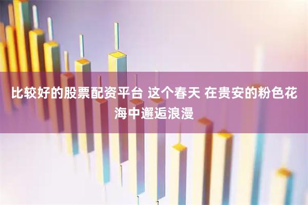 比较好的股票配资平台 这个春天 在贵安的粉色花海中邂逅浪漫