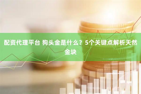 配资代理平台 狗头金是什么？5个关键点解析天然金块